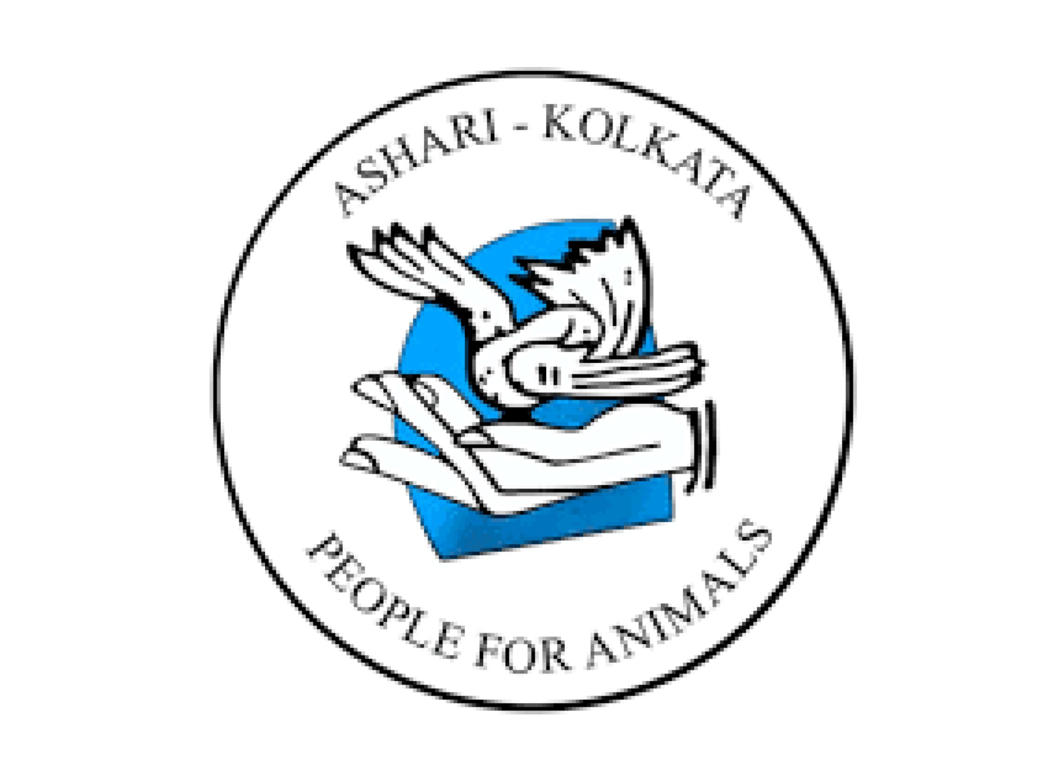 Rescued stray animal